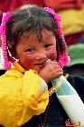 藏红花[藏族儿童]