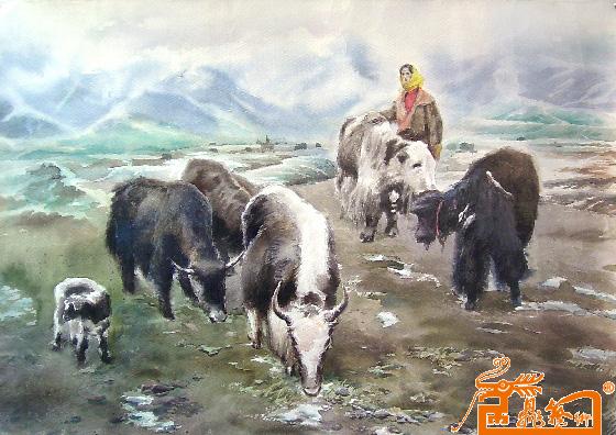 青藏高原 